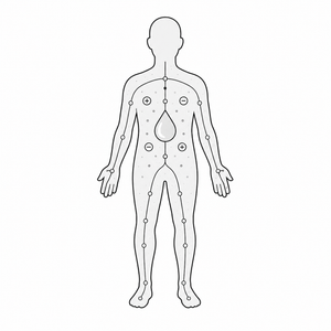 EL CUERPO HUMANO ES CONDUCTOR