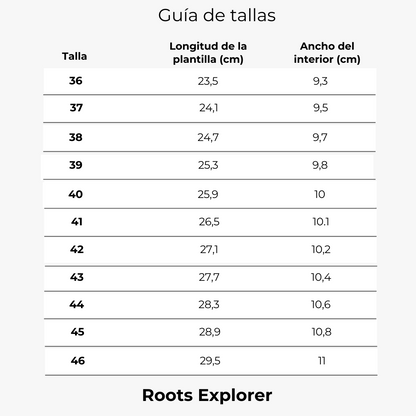 Roots Explorer Antracita